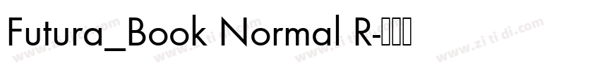Futura_Book Normal R字体转换